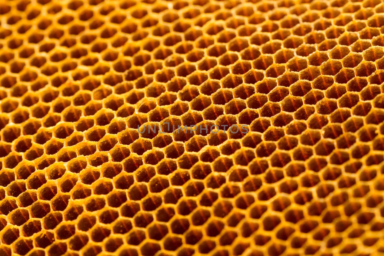 yellow beautiful honeycomb without honey texture