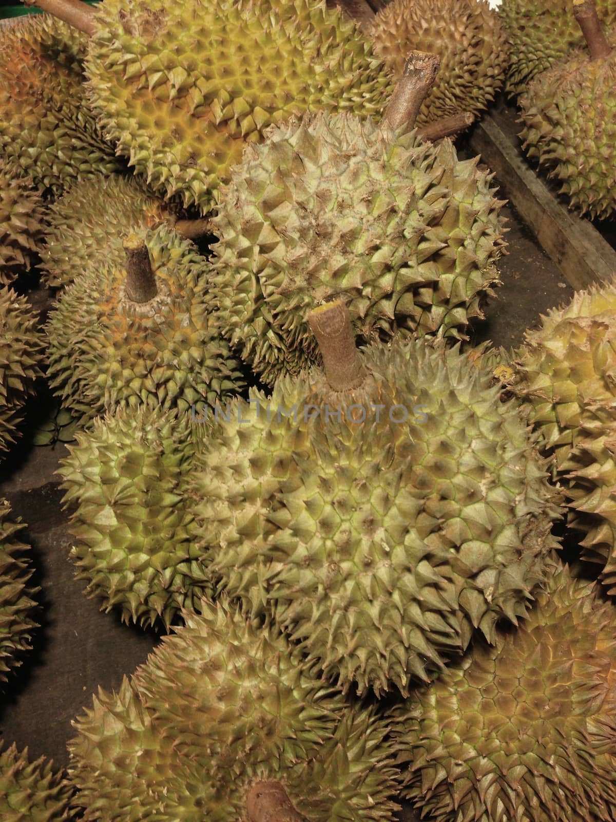 durian, the king of fruit