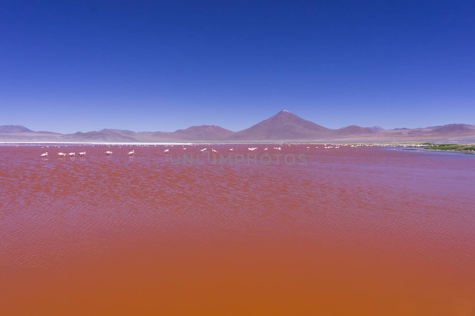 Bolivia, Red Lake
