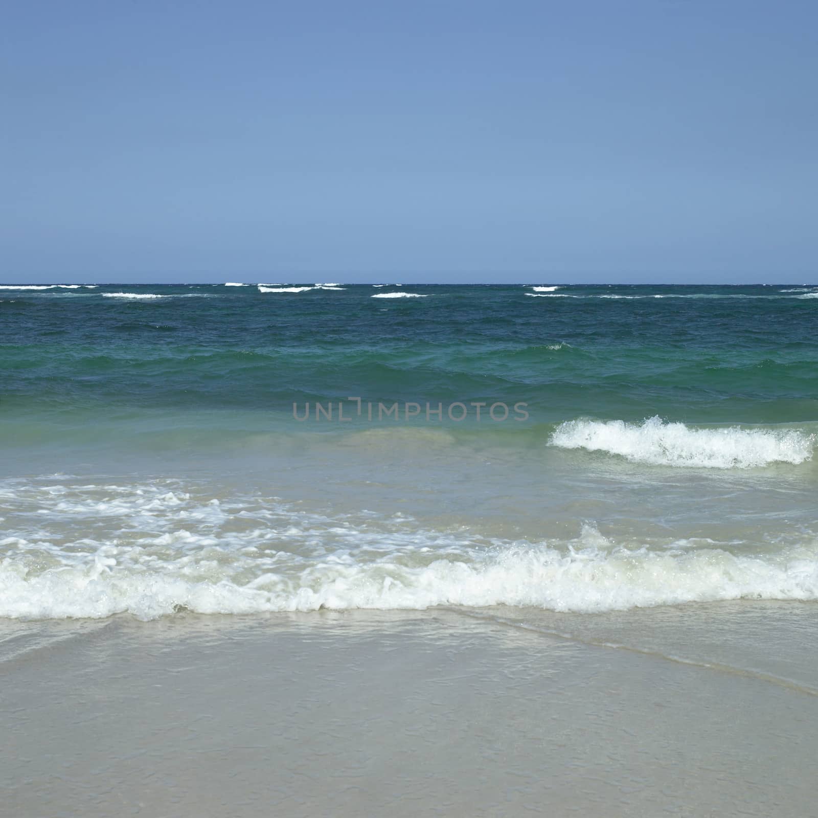 Green tropical ocean waves crashing onto the beach