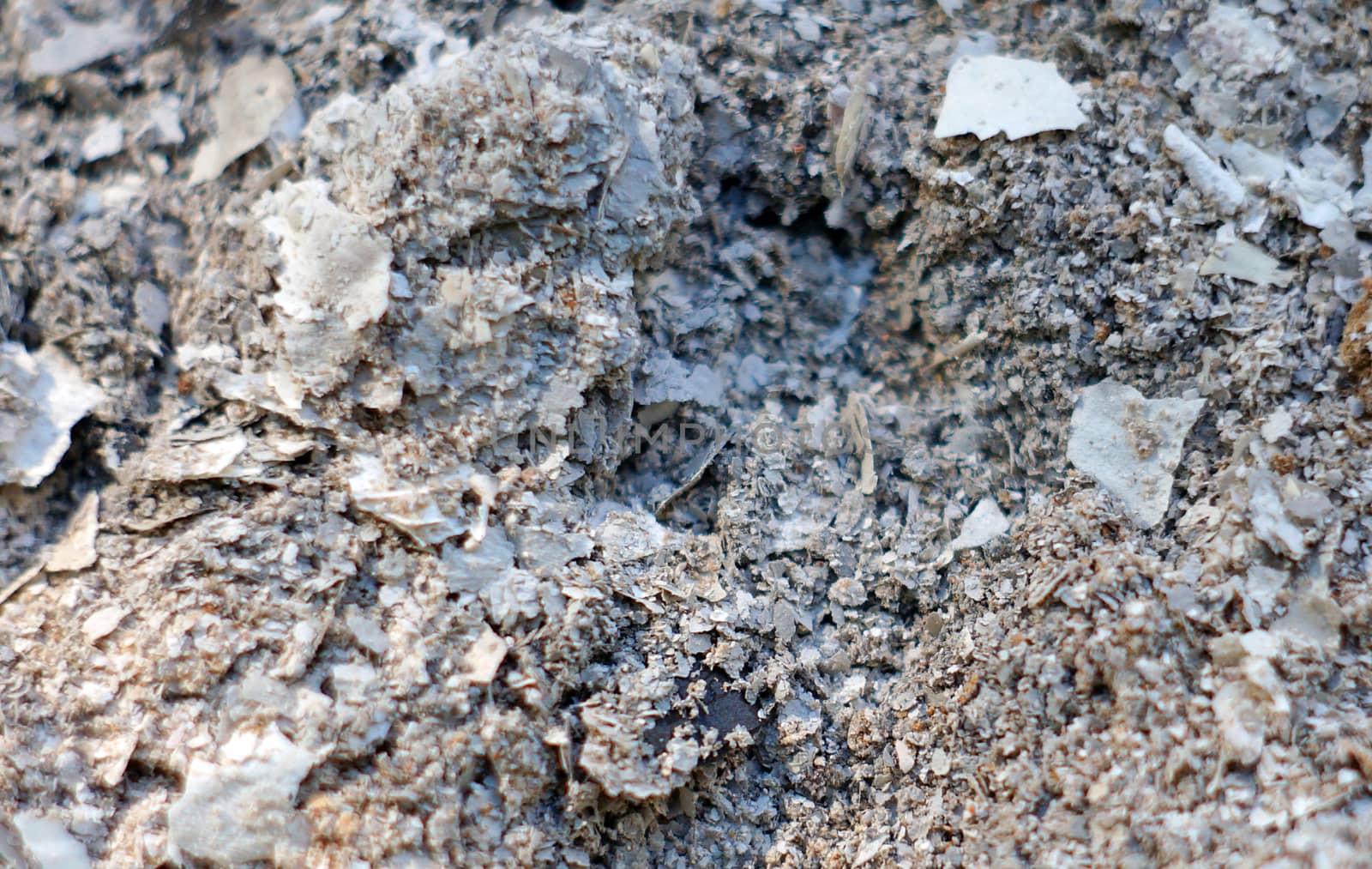 Ash texture closeup                               
