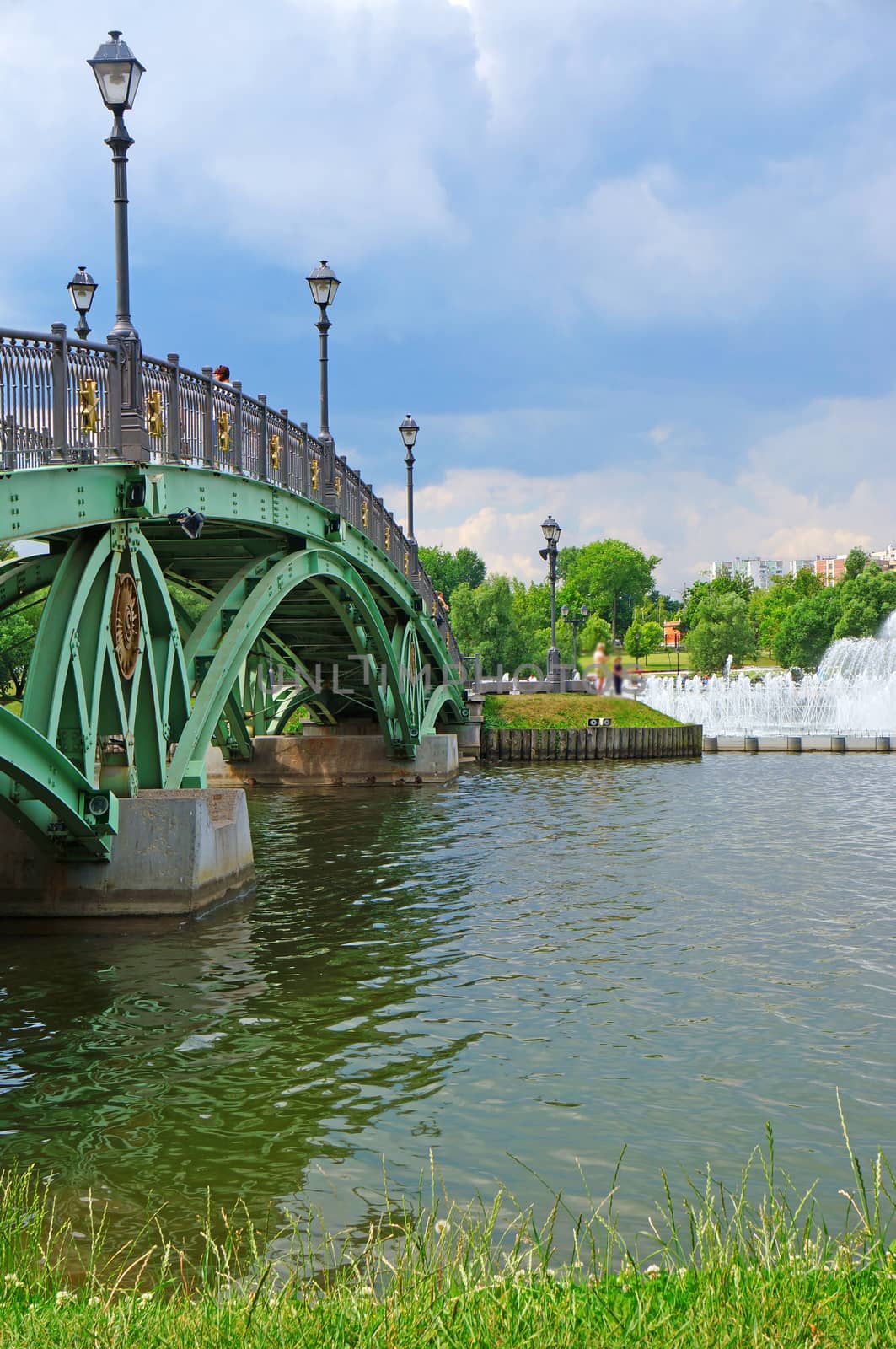 Summer landscape: a bridge across the lake                               