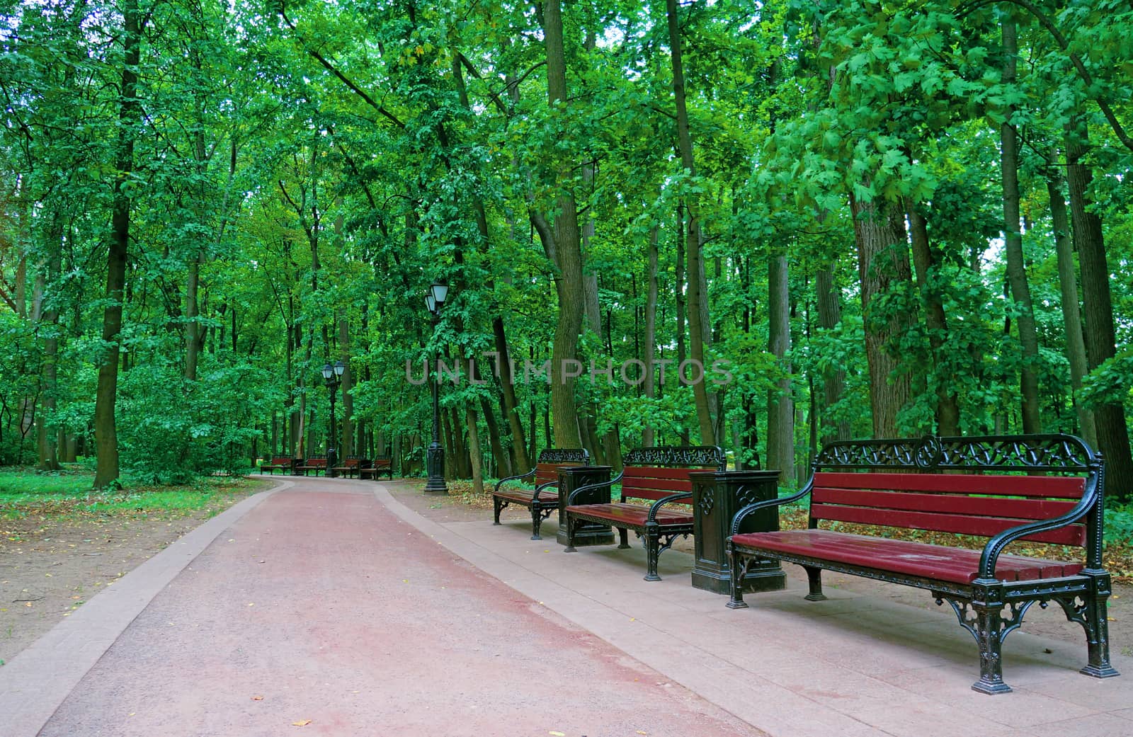 Several benches along a walkway in a summer park                               