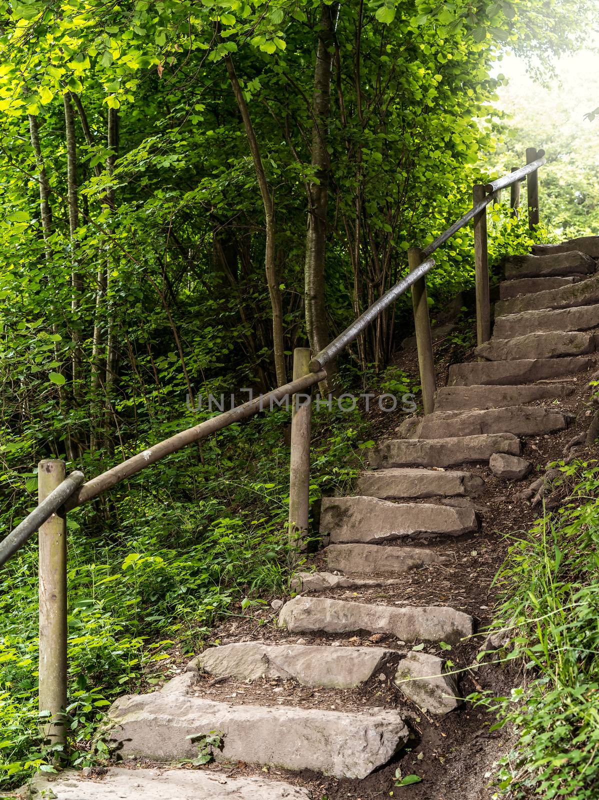 Photo of a stone staircase leading out of the forest.