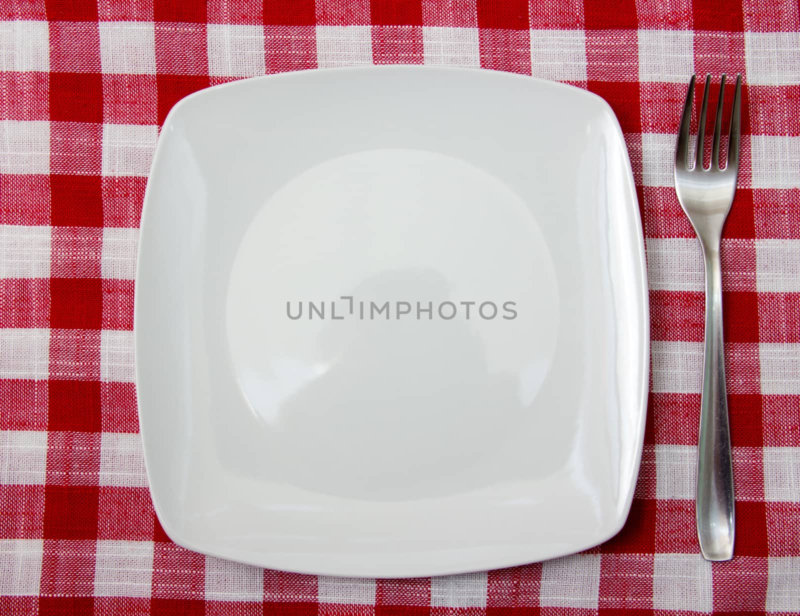 Plate and fork on checkered tablecloth