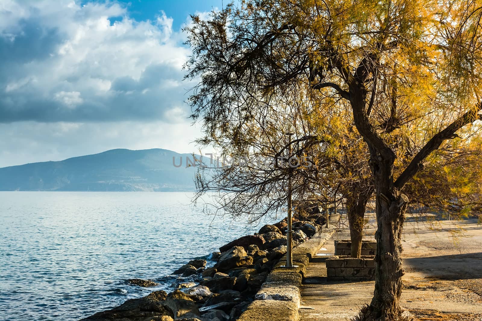 Village seaside with yellow trees