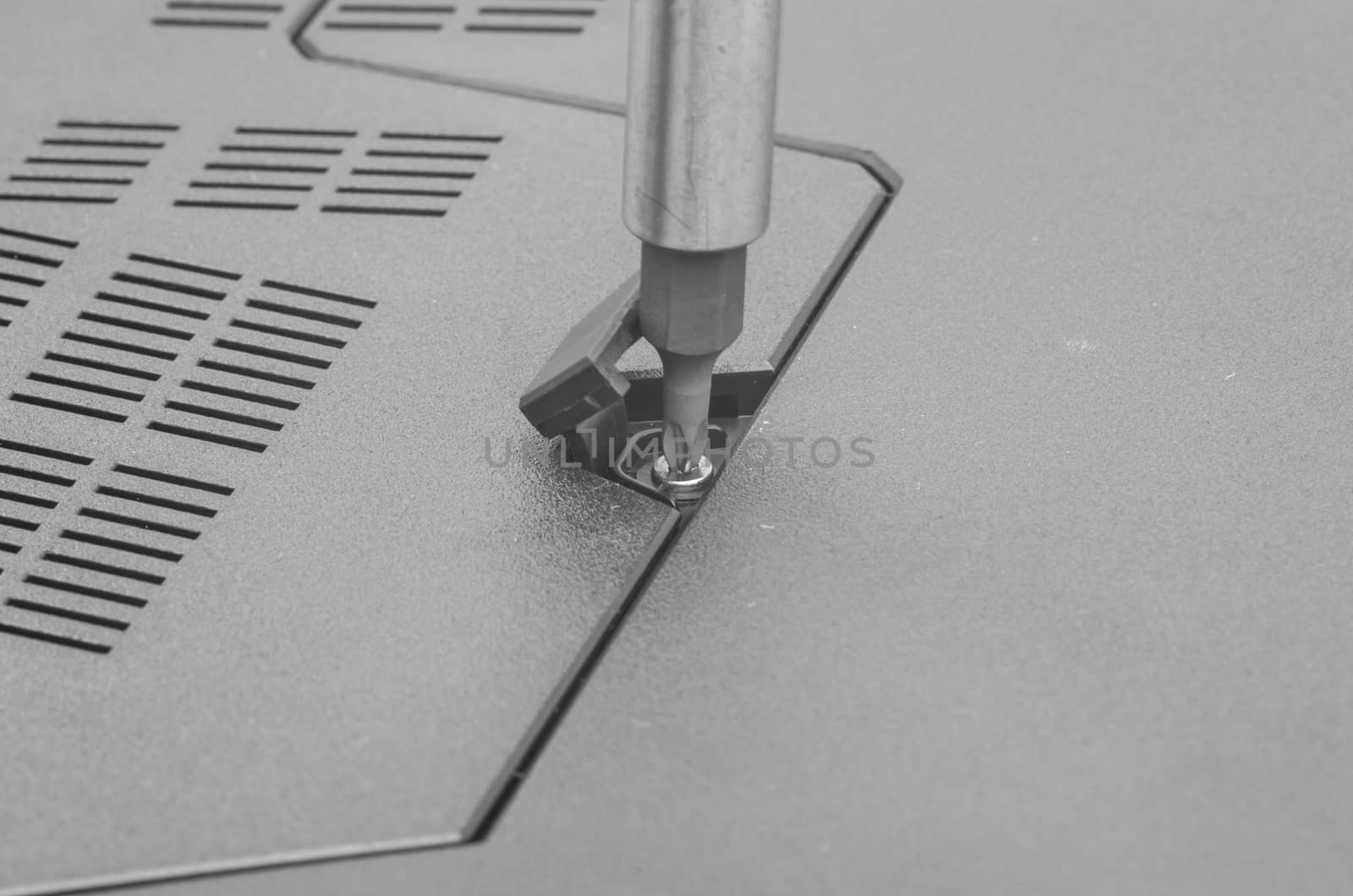 Repairing laptop: screw driver and bolt, close image.