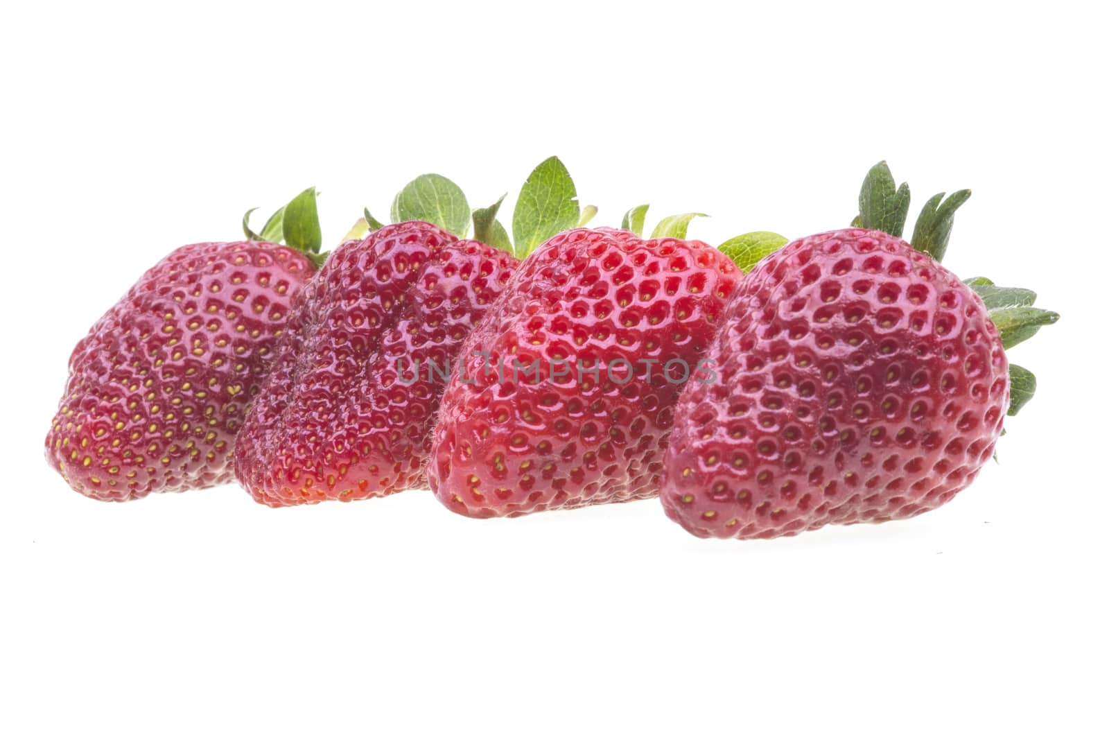 Fresh strawberry in a row, over white
