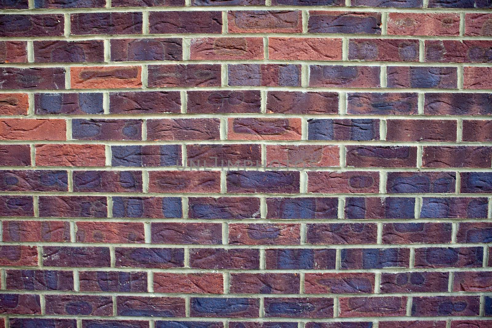 Brick Wall by chrisdorney