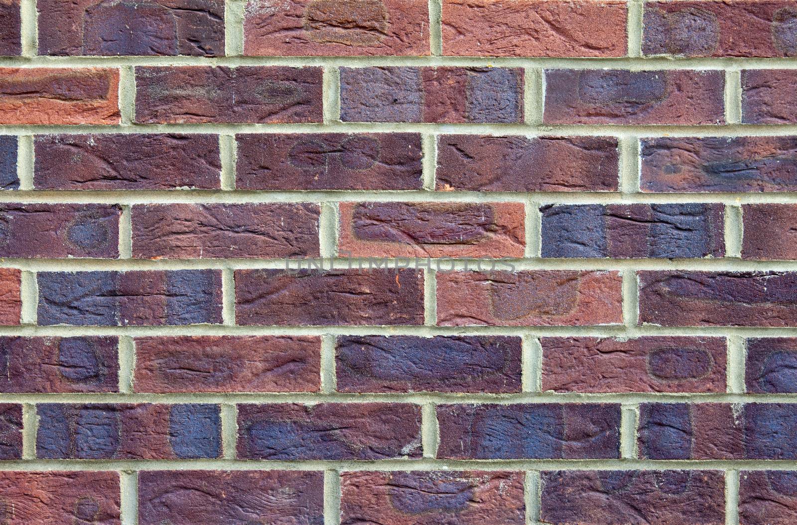 Brick Wall by chrisdorney