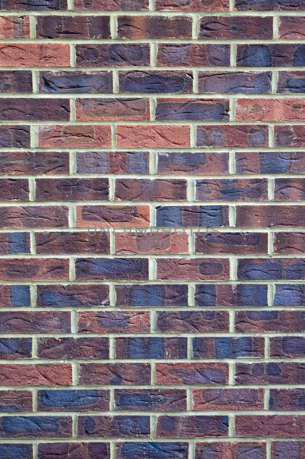 Brick Wall by chrisdorney