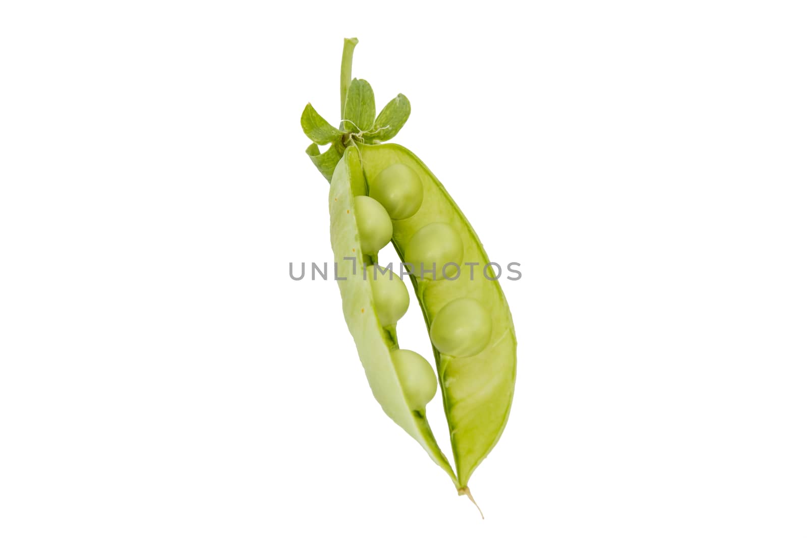 Fresh green peas and pod on white background by huntz