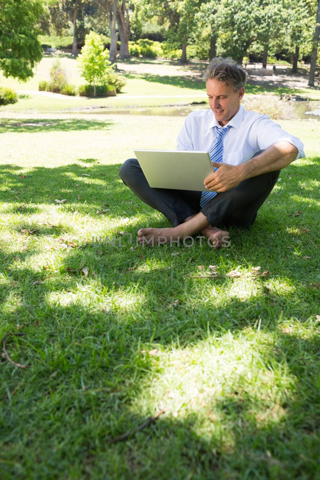 Full length of businessman surfing on laptop in park
