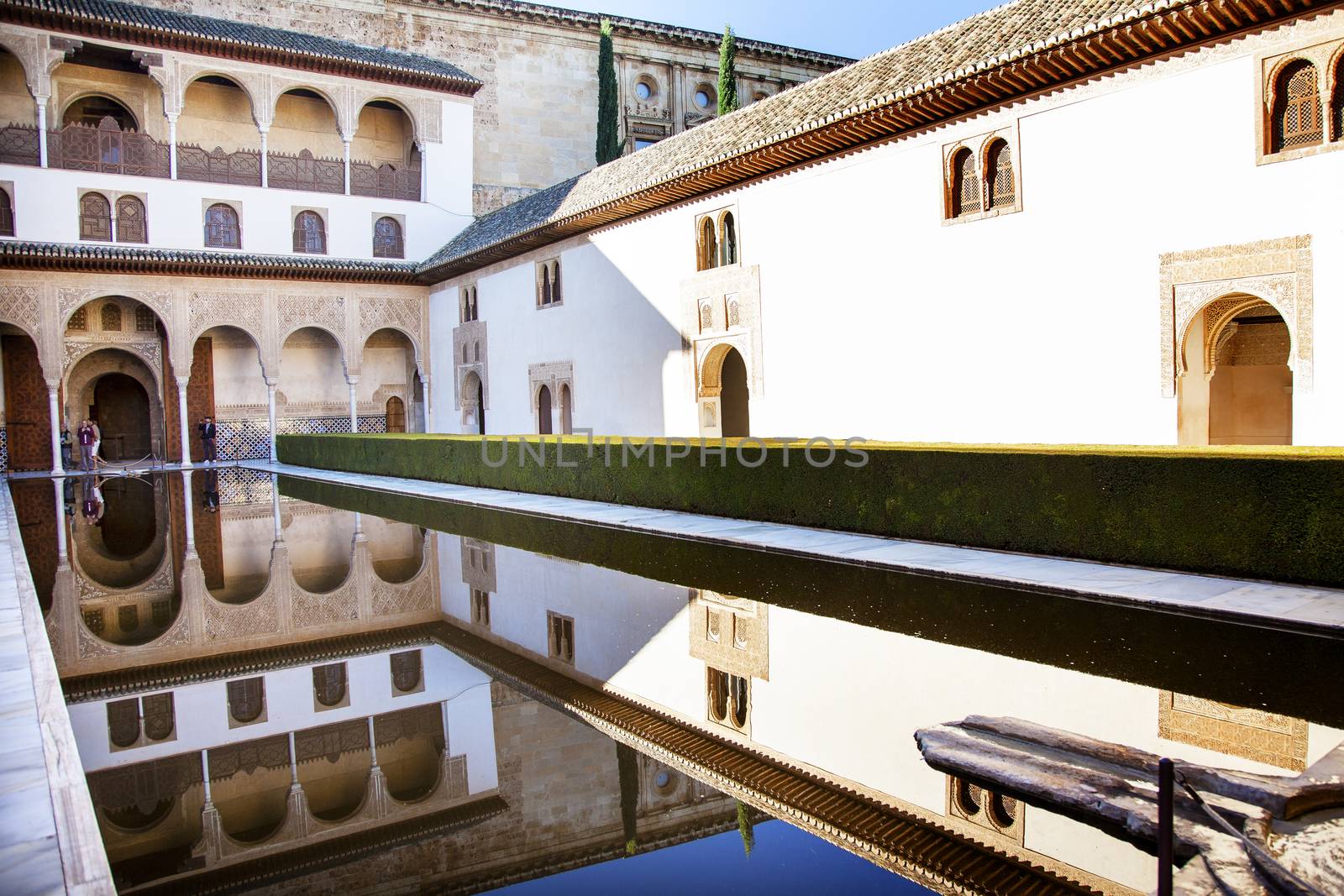 Alhambra Courtyard Myrtles Pool Reflection Granada Andalusia Spain  