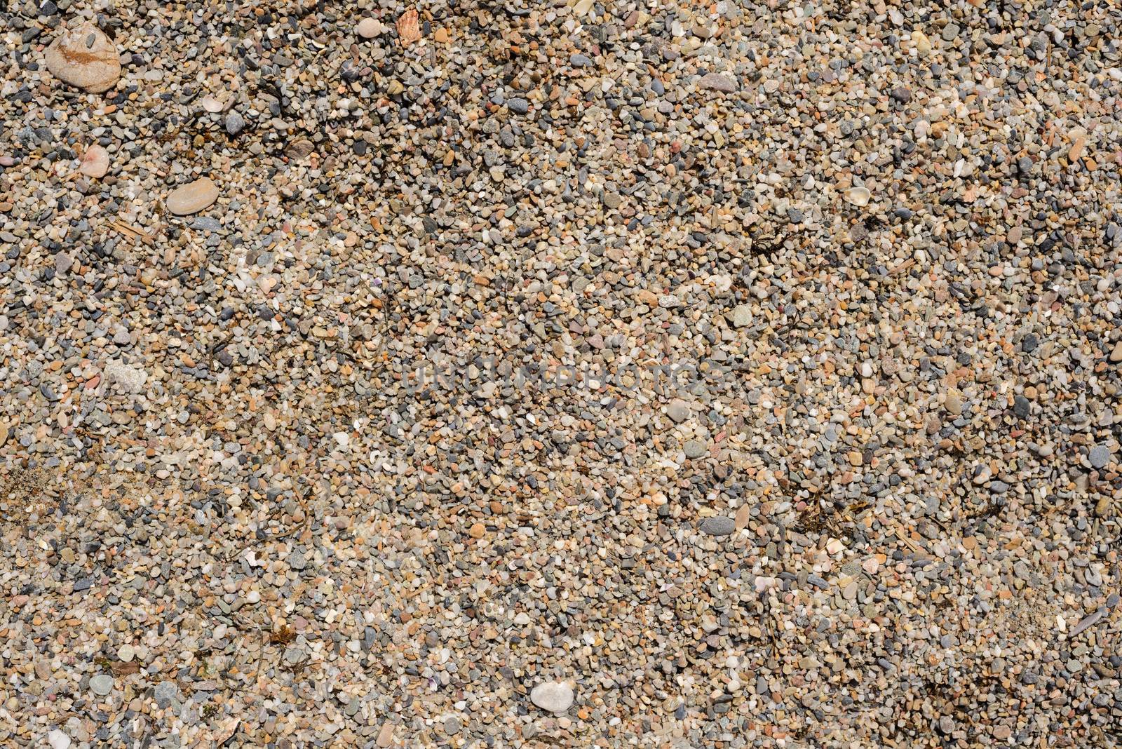 Tiny grains of sand macro close up texture, beach