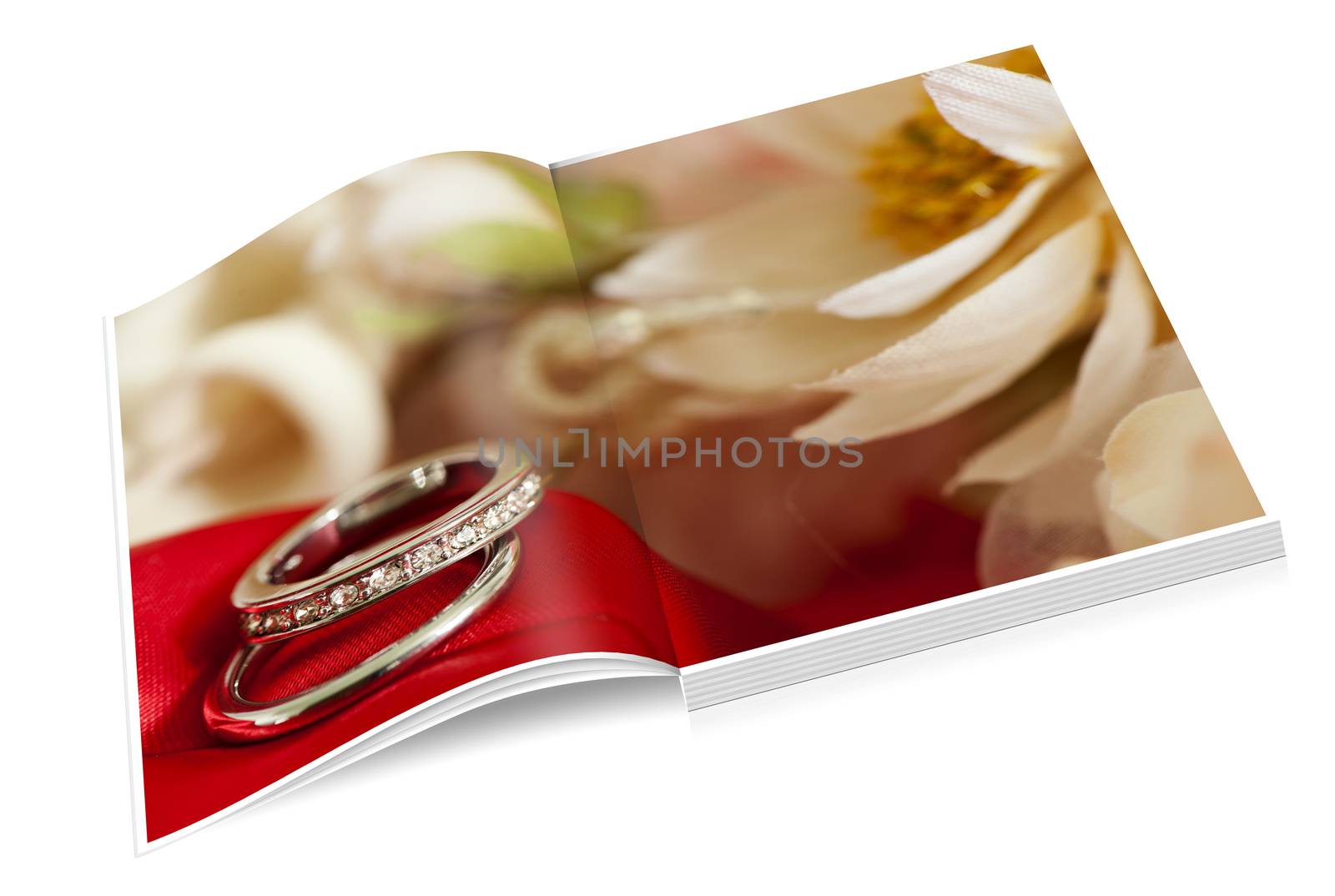 Wedding day book by carla720