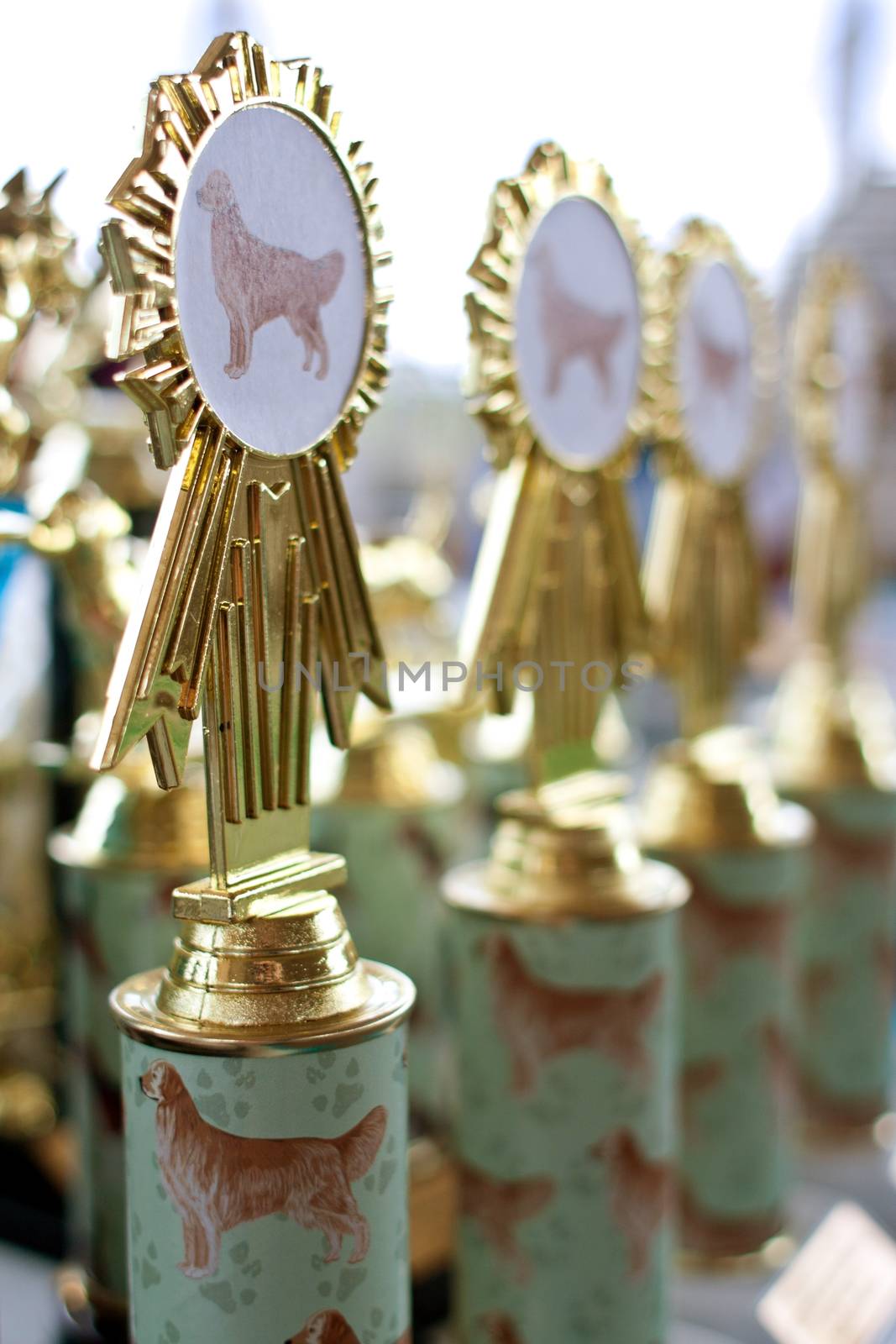 Canine Themed Trophies Sit On Display At Dog Festival by BluIz60