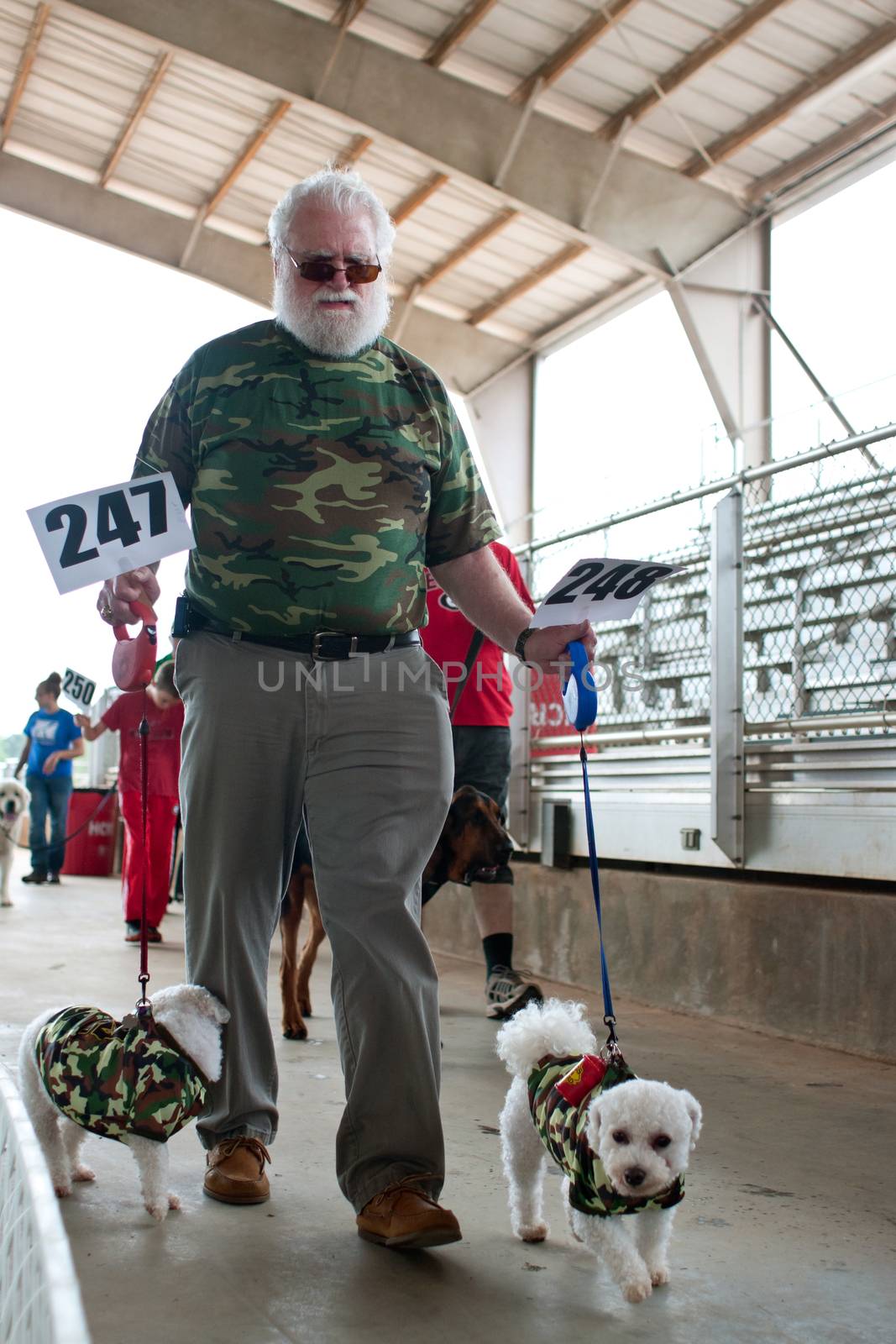 Dog Owner And Poodles Both Wear Camo Shirts At Festival by BluIz60