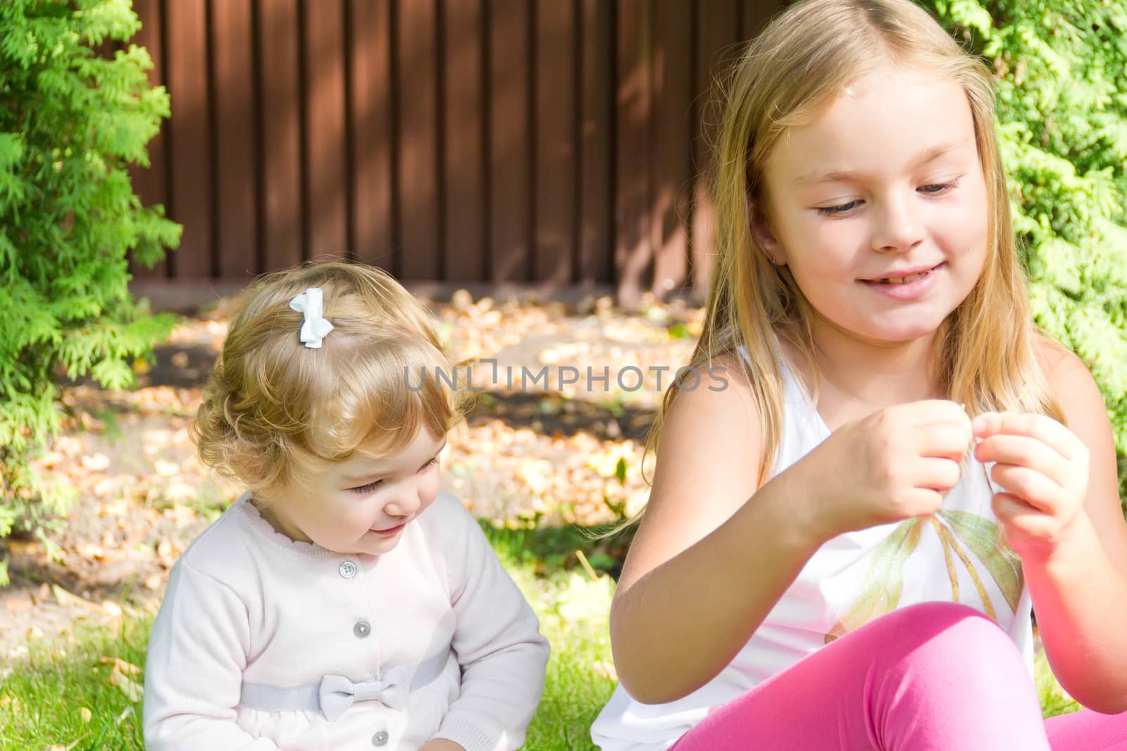 Photo of two playing girls in summer