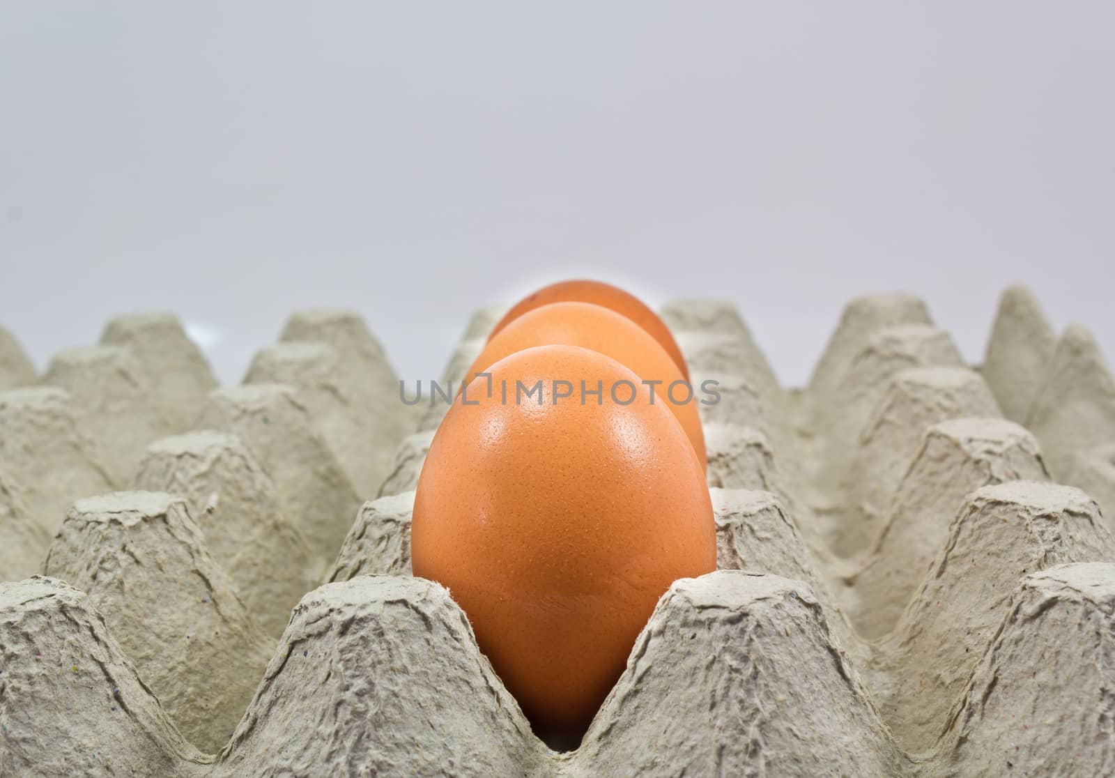Shelves eggs to prevent egg broken
