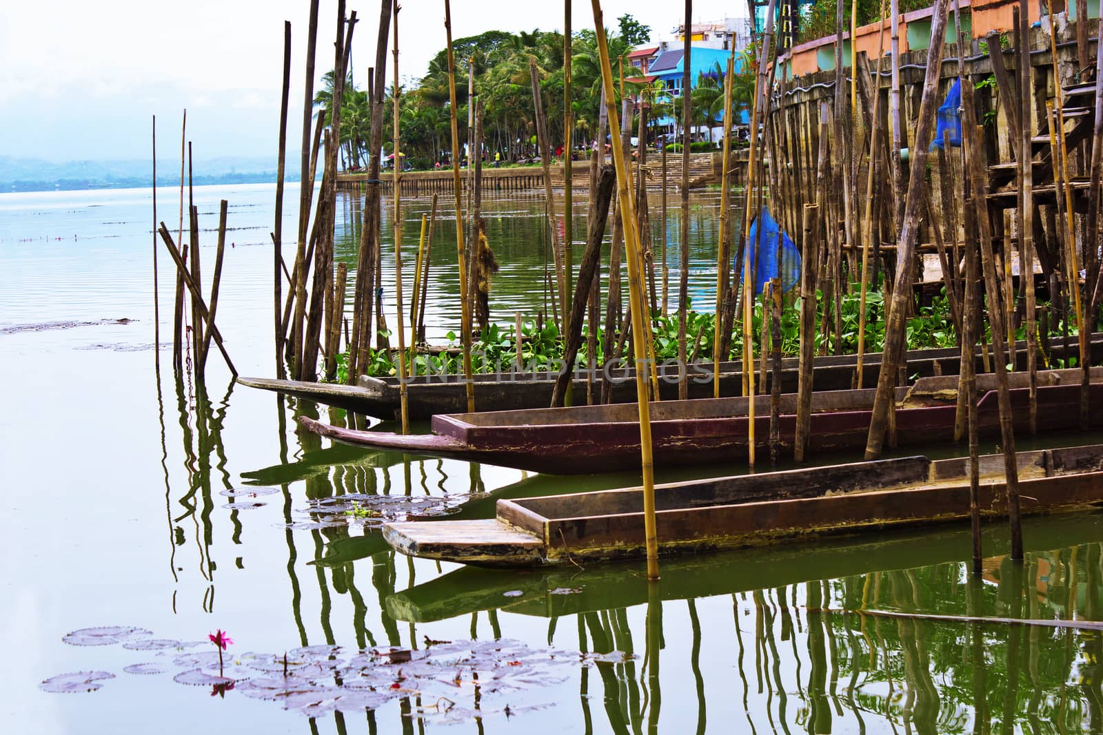 Old dock by the lake of the National Park by sutipp11