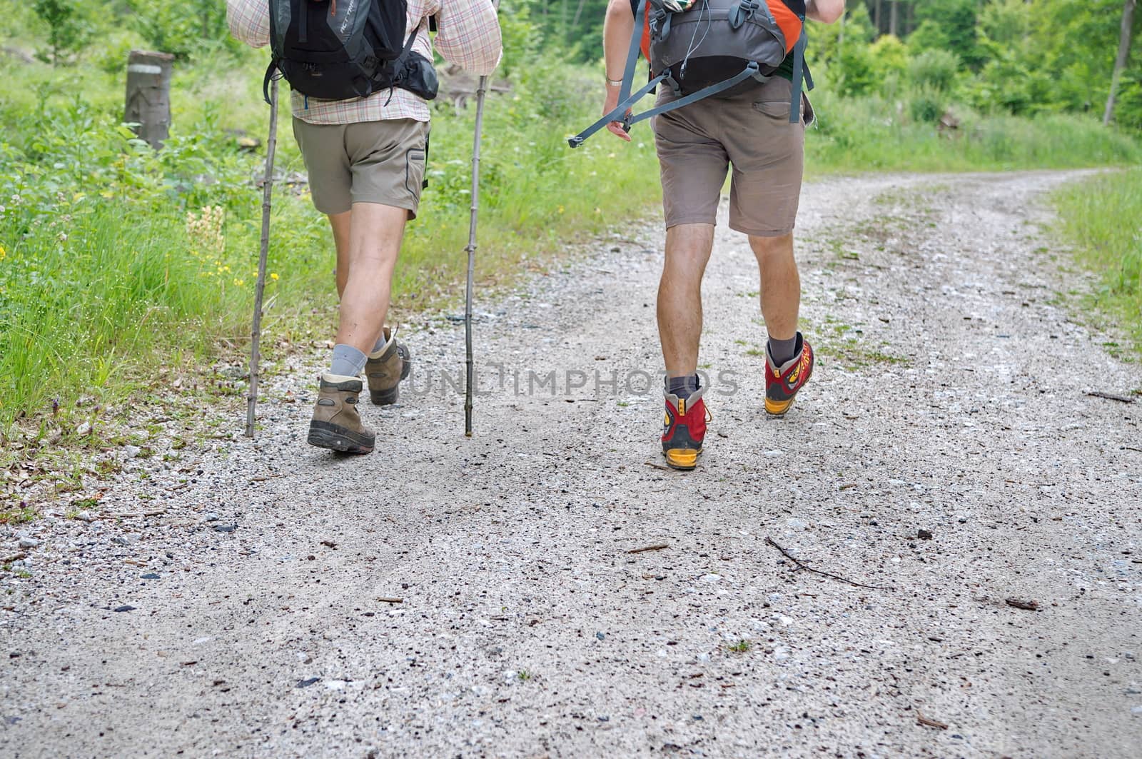 Two caucasian man hiking in the forest by anderm