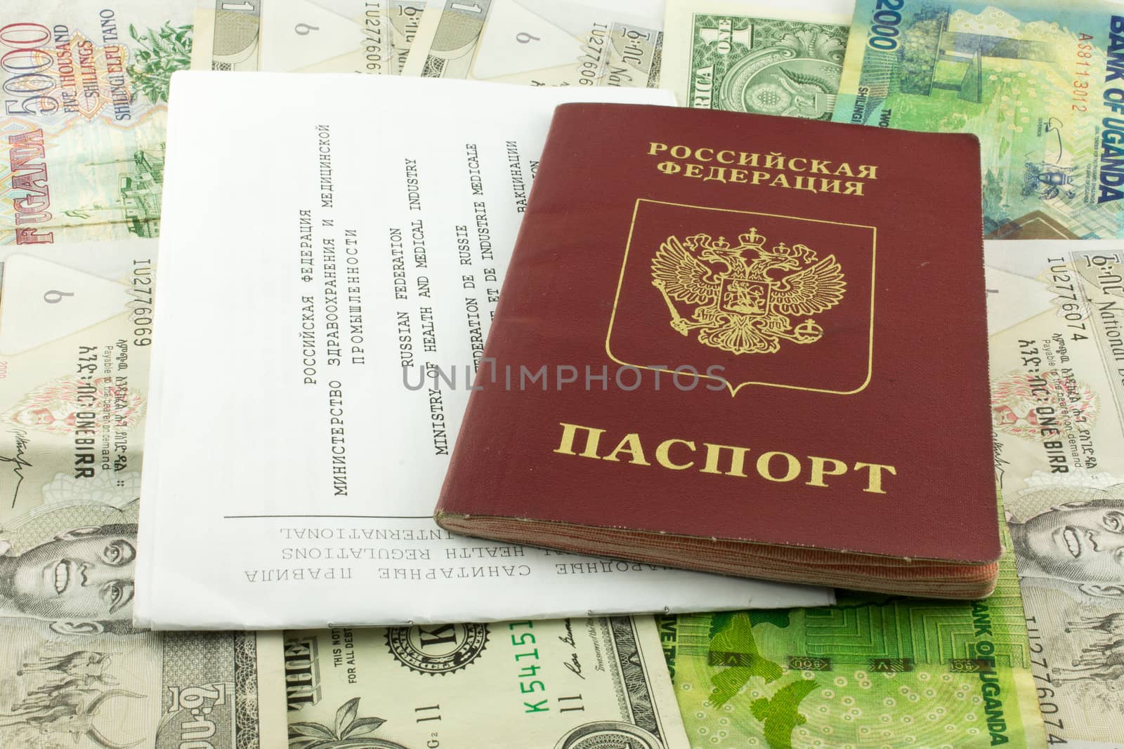 passport and certificate of vaccination by Mieszko9