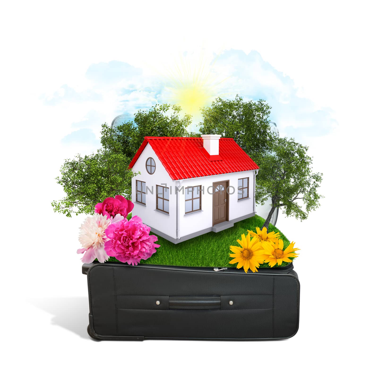 House, trees and green grass in travel bag by cherezoff