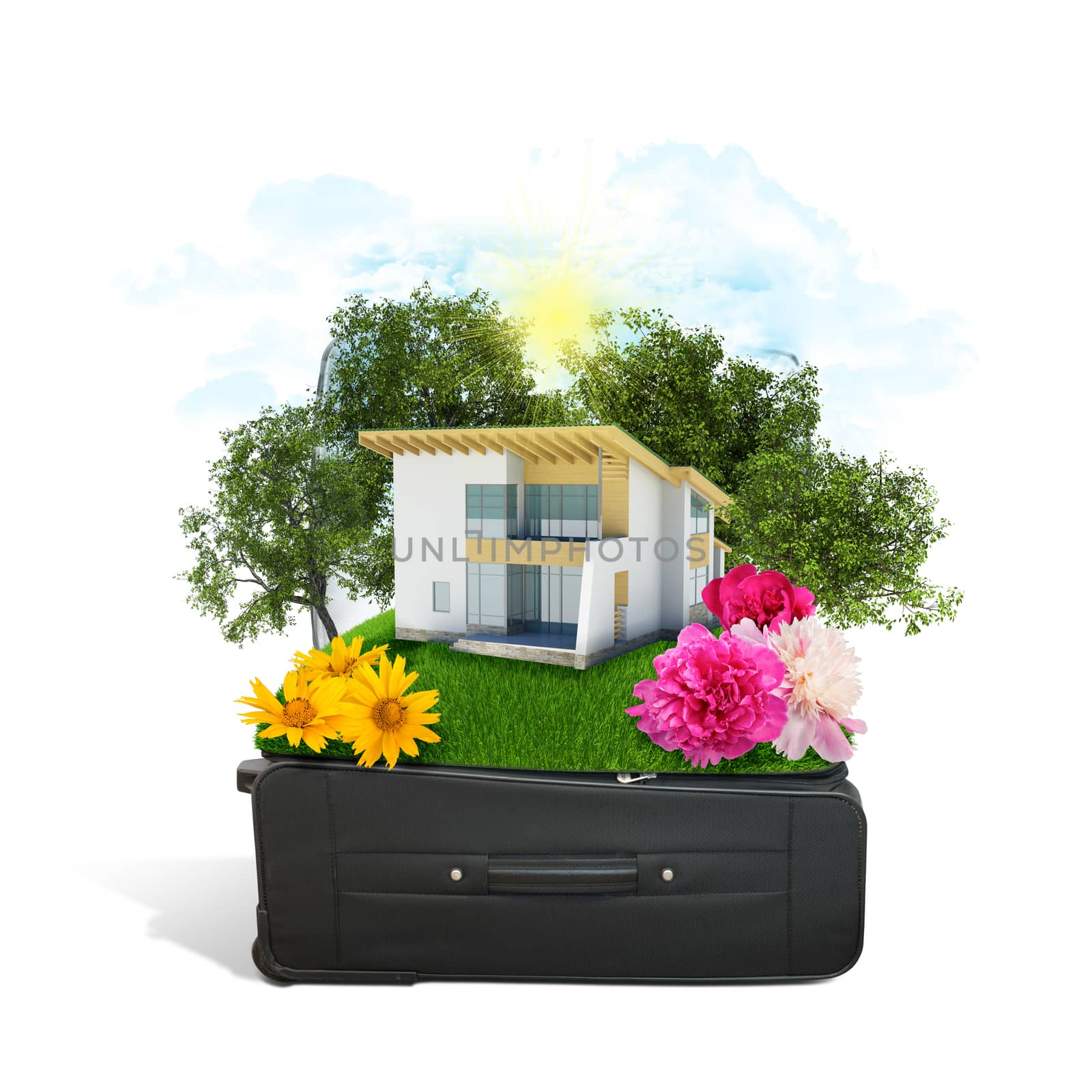 House, trees and green grass in travel bag by cherezoff