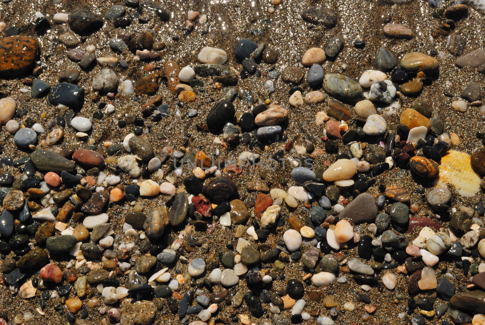 Background of little stones in the shore at the beach