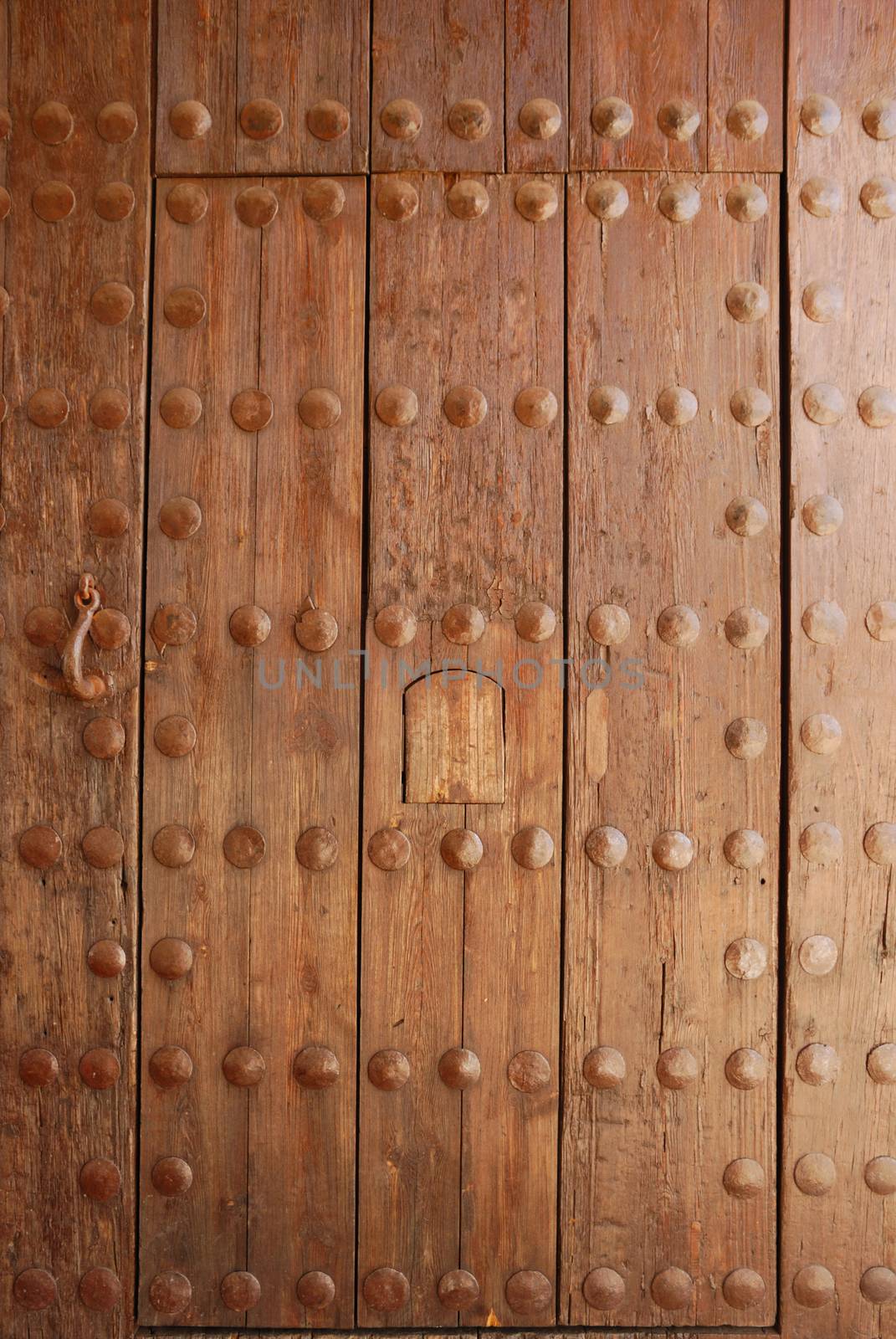 Wooden door located in Monastery La Cartuja in Seville, Spain.