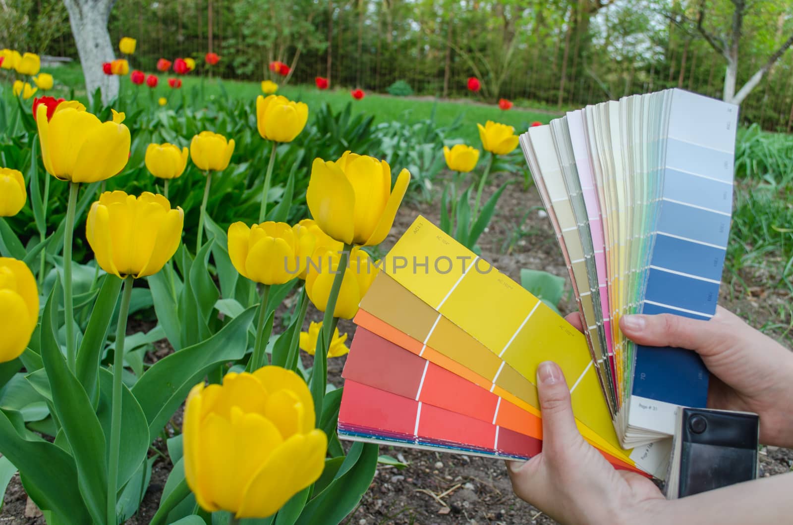 color palette cards choose from color yellow tulip by sauletas