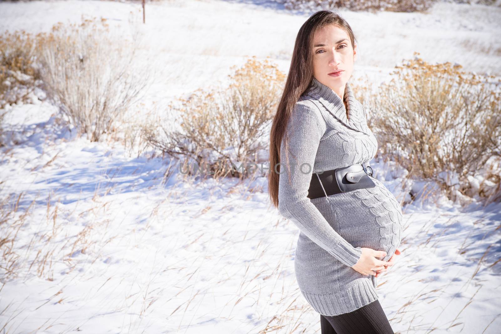 Beautiful expecting mother to be pregnant woman posing in front of nature in a winter wonderland snowscape at a lake by the mountains