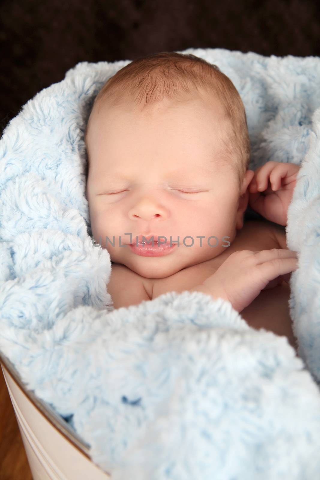 Newborn baby boy wrapped in warm blue blankets