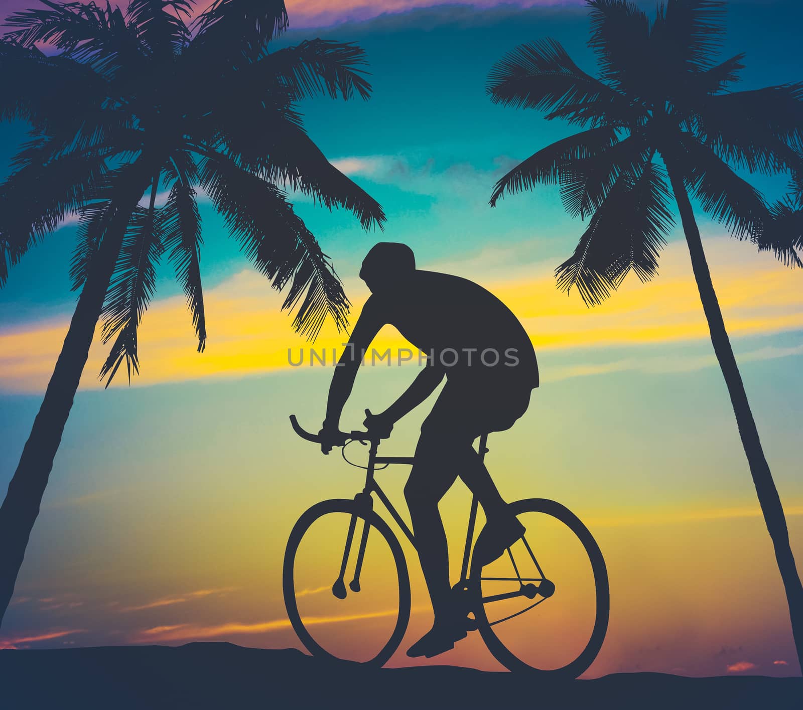 Retro Worn Style Photo Of A Man Cycling By Tropical Palm Trees