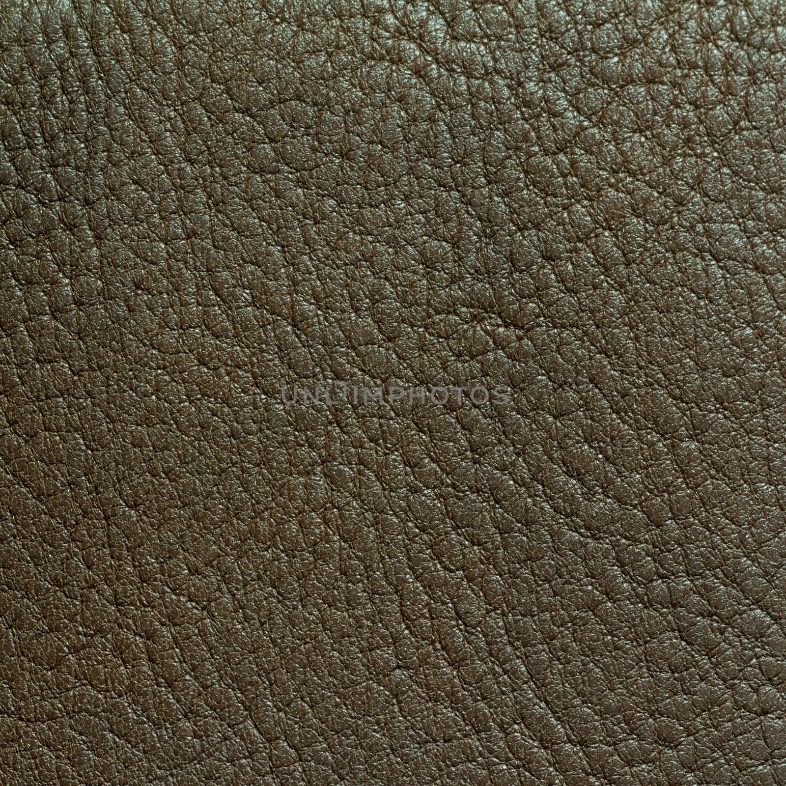 Brown leather texture closeup background. 