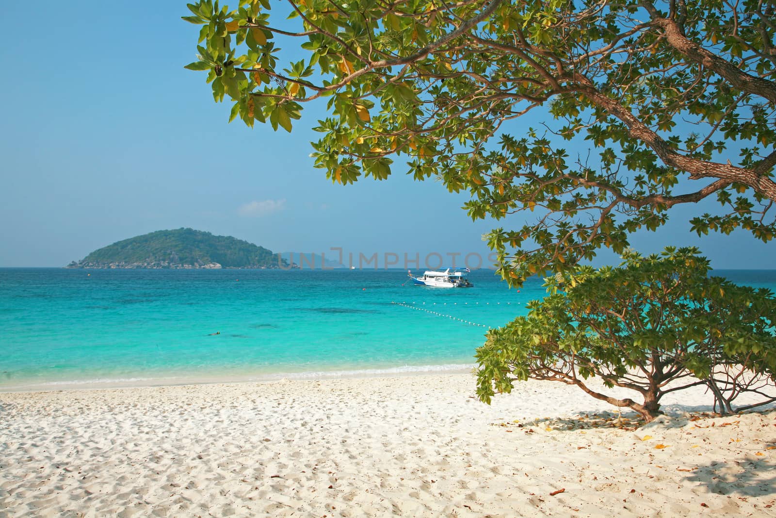 Clear water and white sand at Similan island south of Thailand.