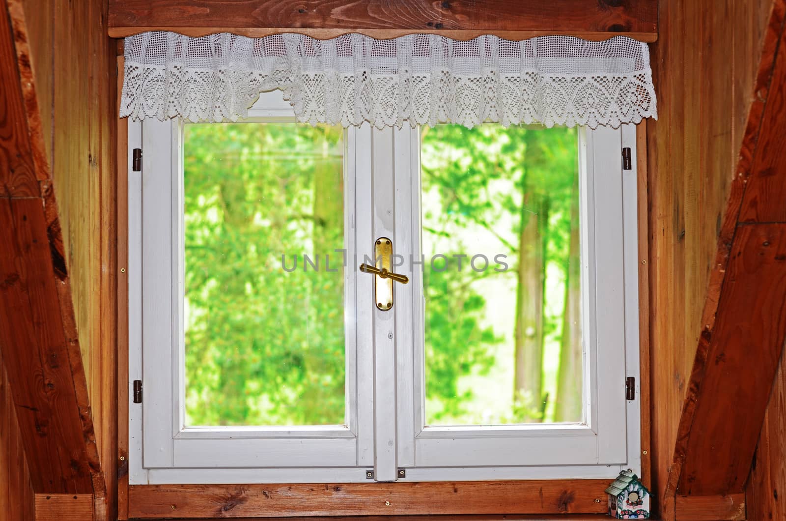 window
