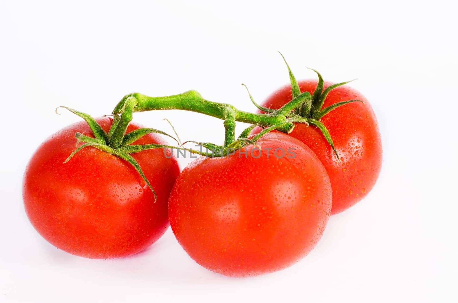 tasty fresh tomatoes