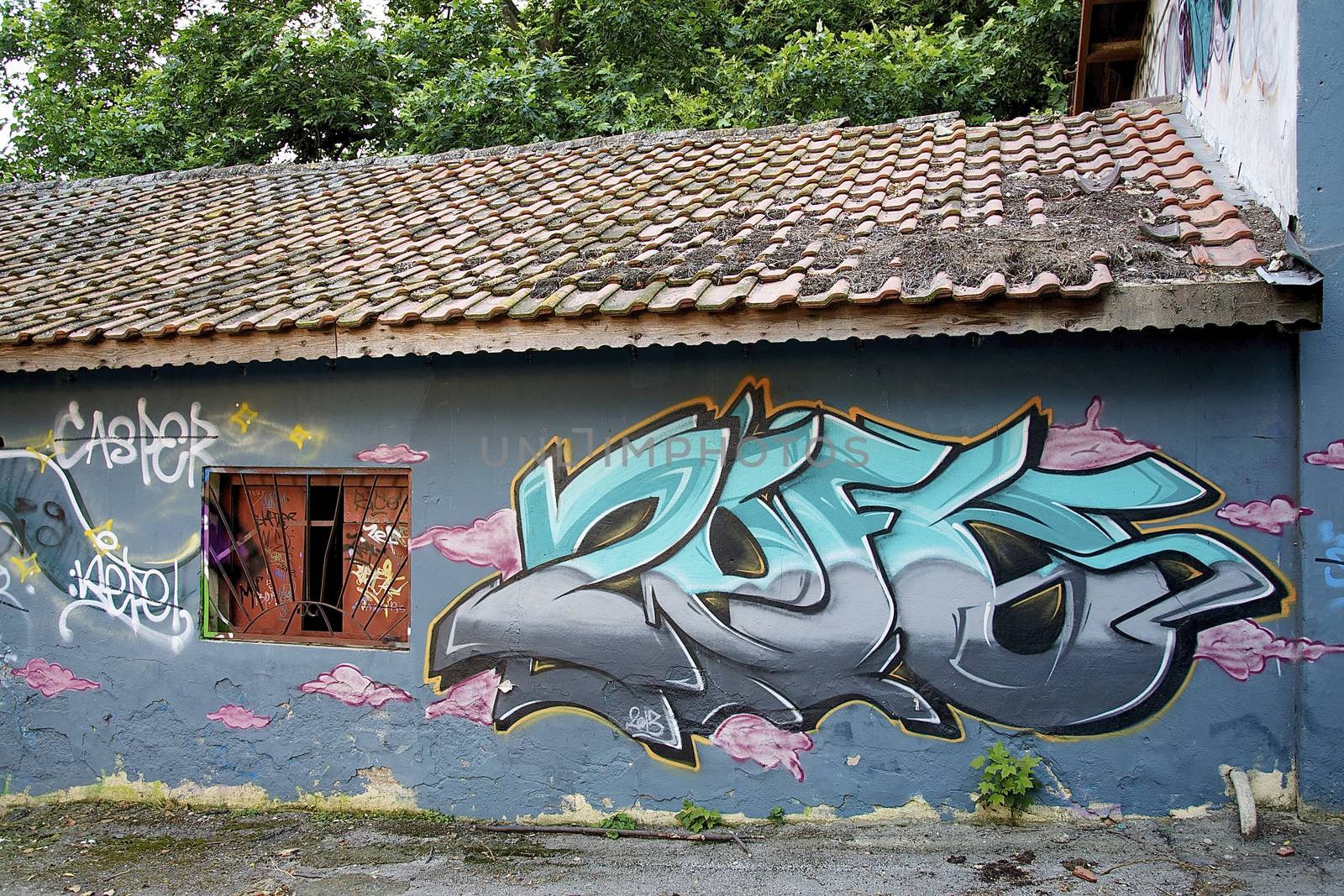 Young artists have decorated the walls of the old concrete building in Varna on the Black Sea