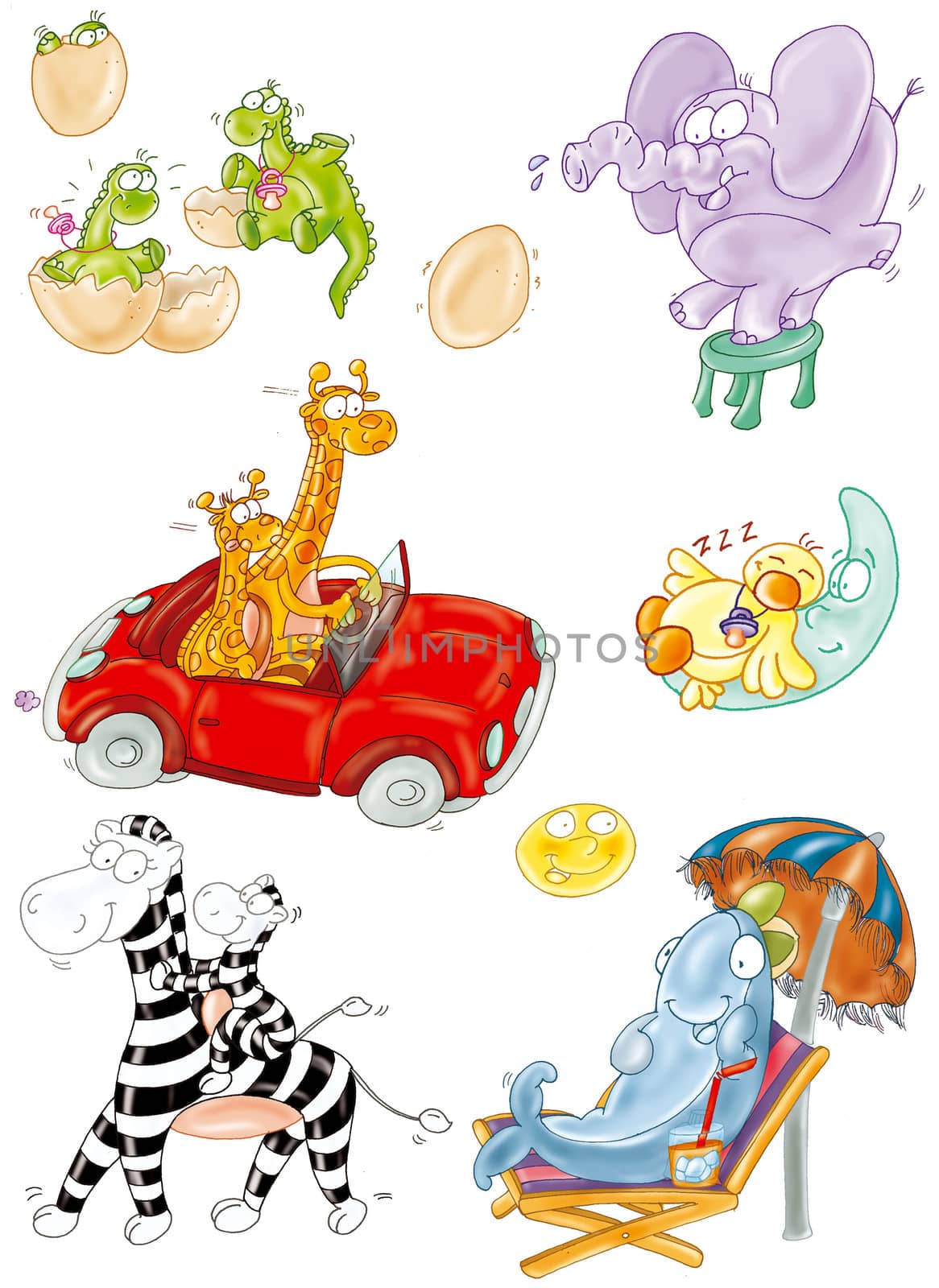 animali al mare,zebra,delfino,elefante,giraffa