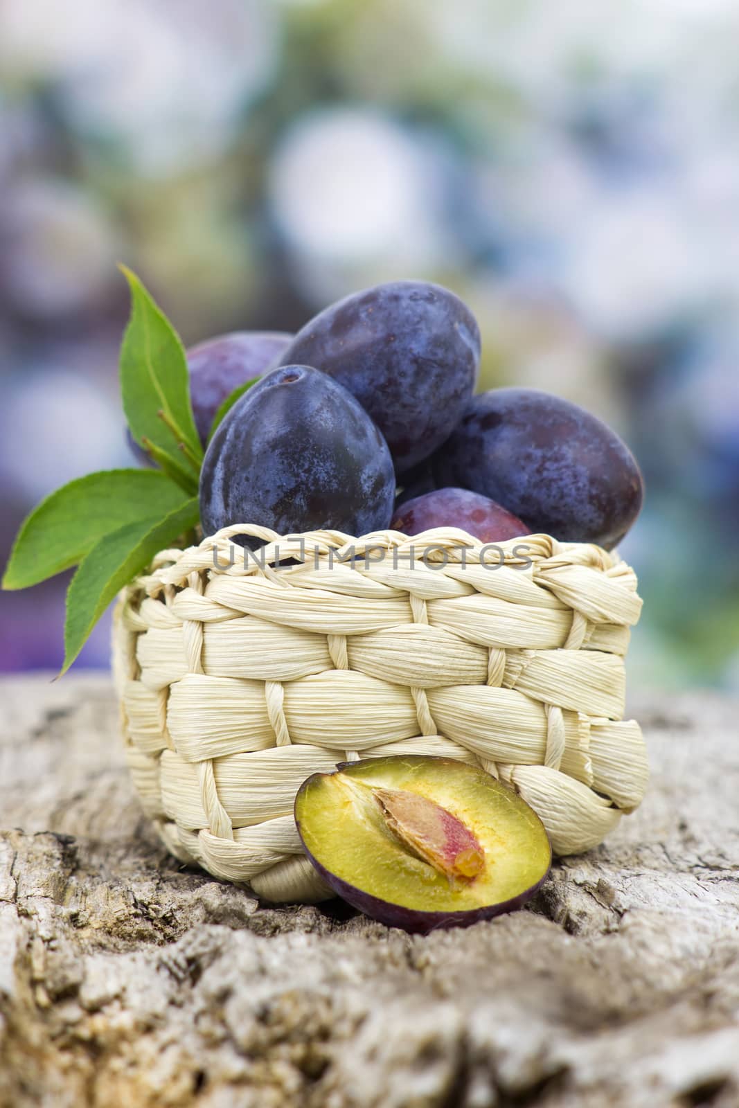 fresh plums in a basket on old wooden background