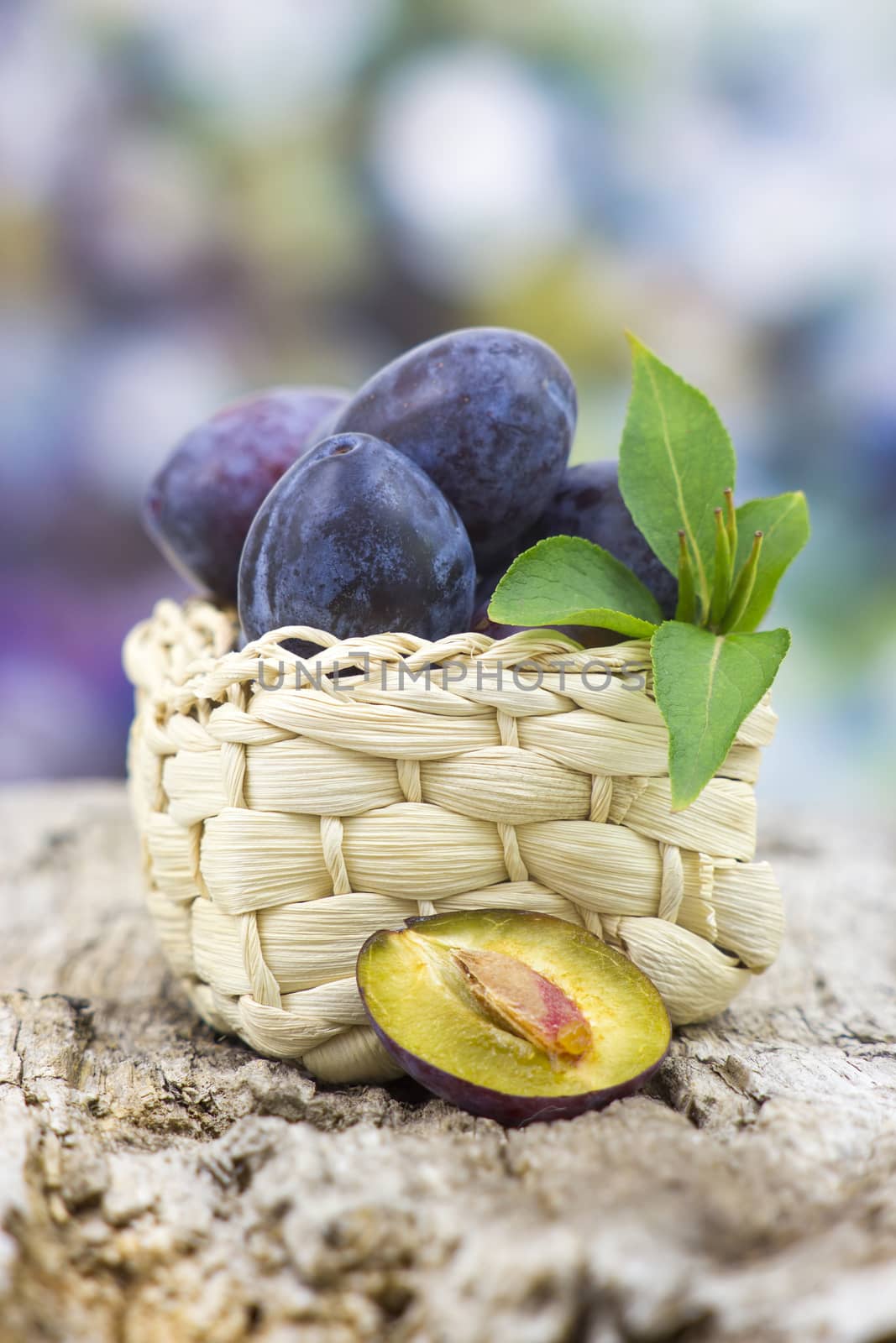 fresh plums in a basket on old wooden background