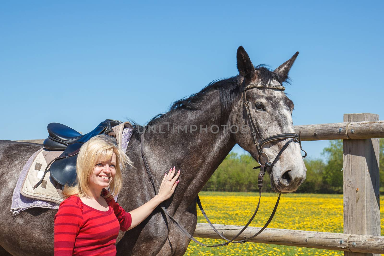 smiling woman with a saddled sports horse