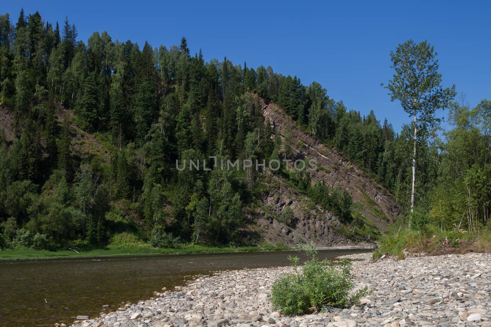 The mountain river with rapid current