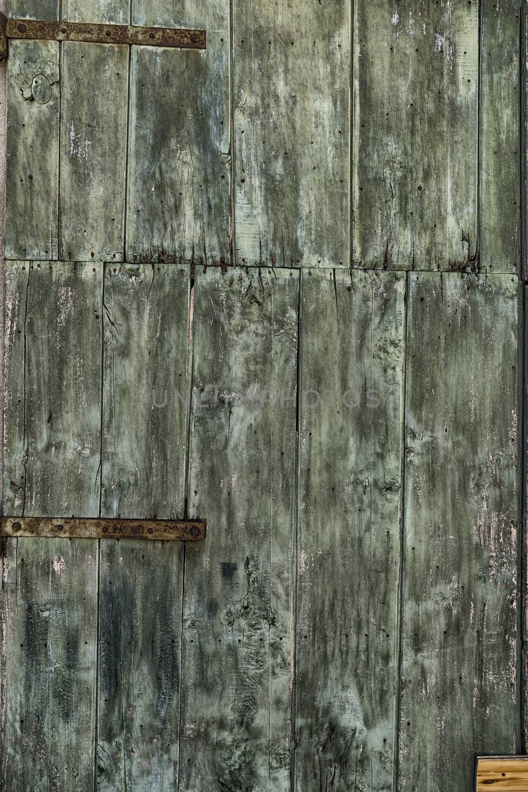 An old green painted wooden door with woodworm holes and rusty hinges
