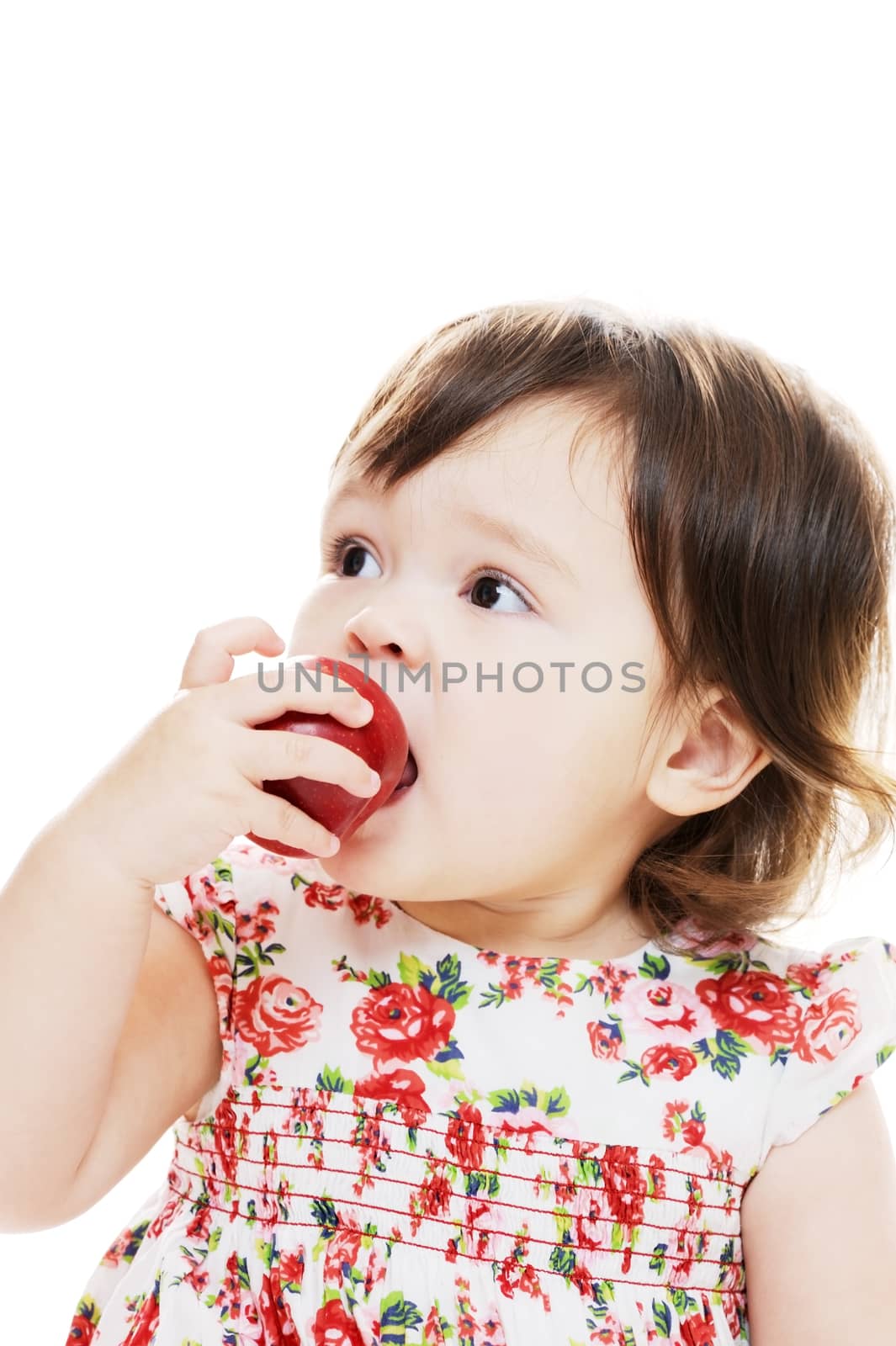Closeup portrait of young infant eating apple