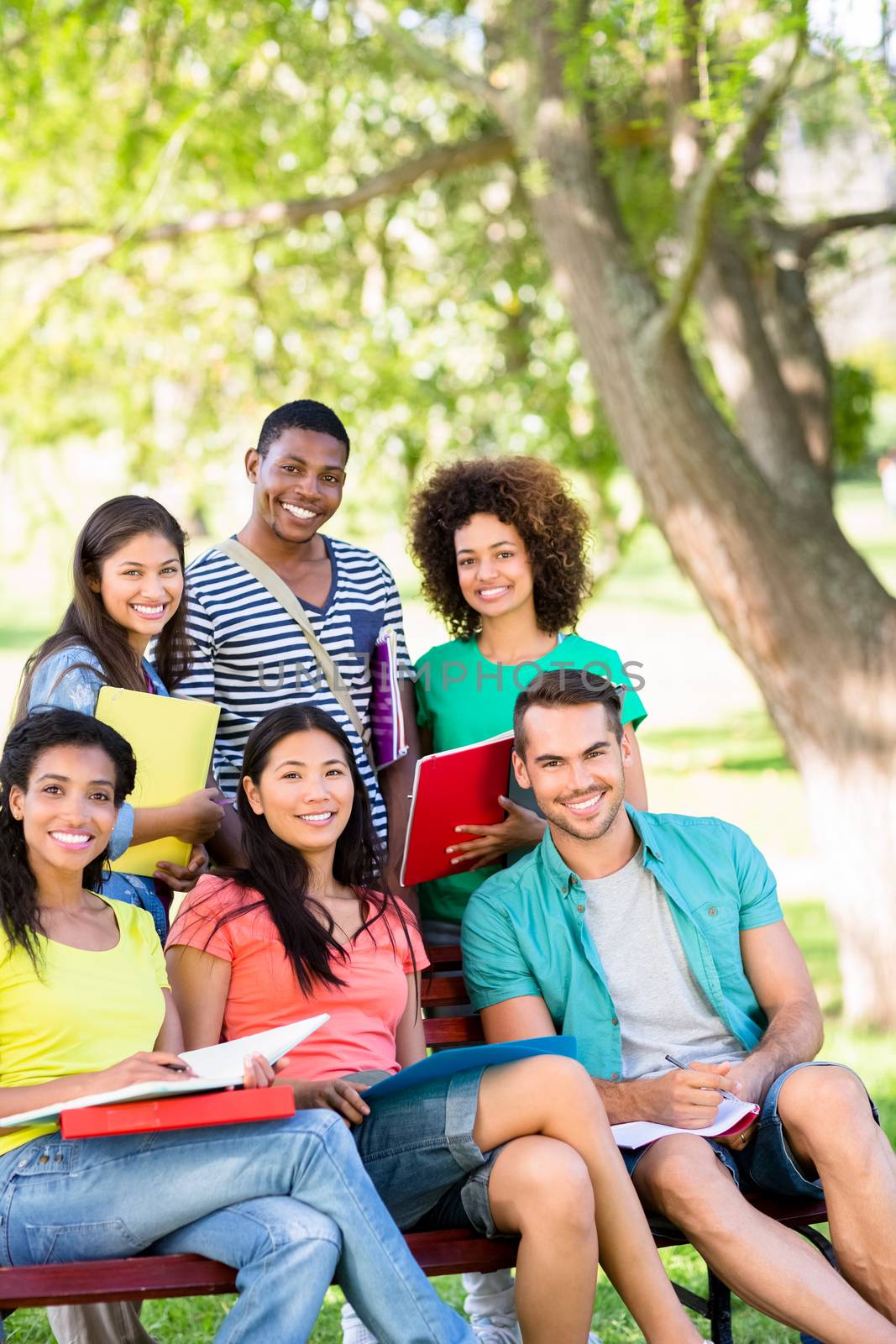 Portrait of happy college students studying on bench at campus