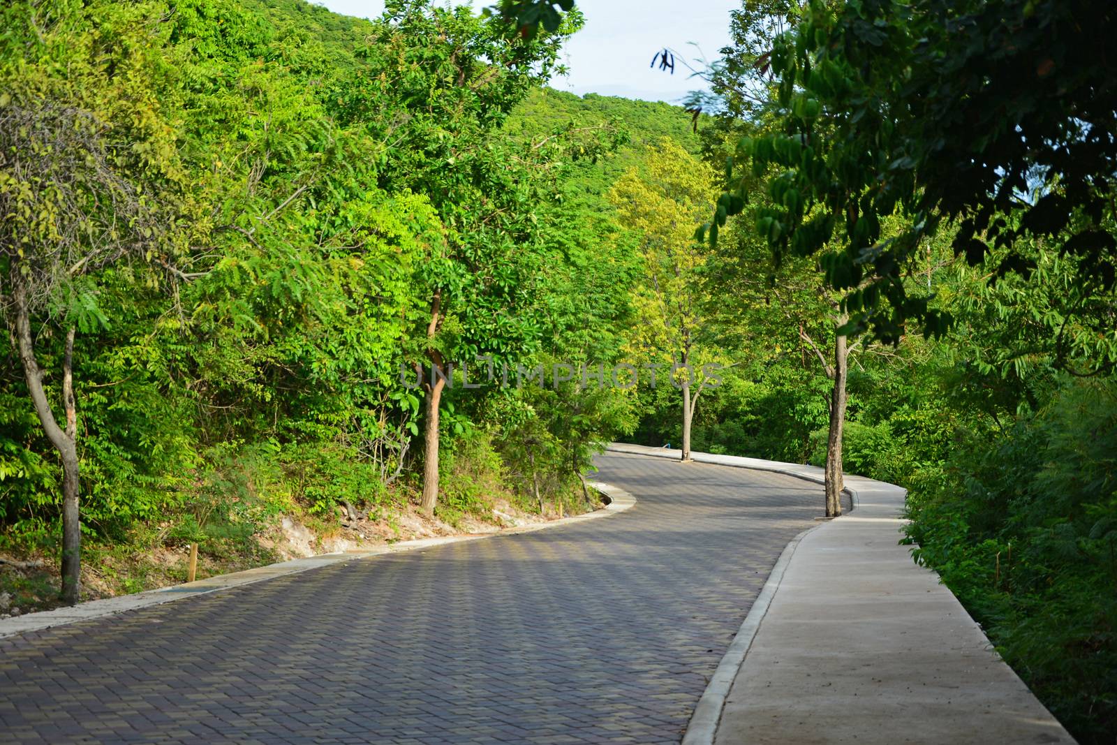 Road on Larn island in Pattaya city of Thailand by think4photop