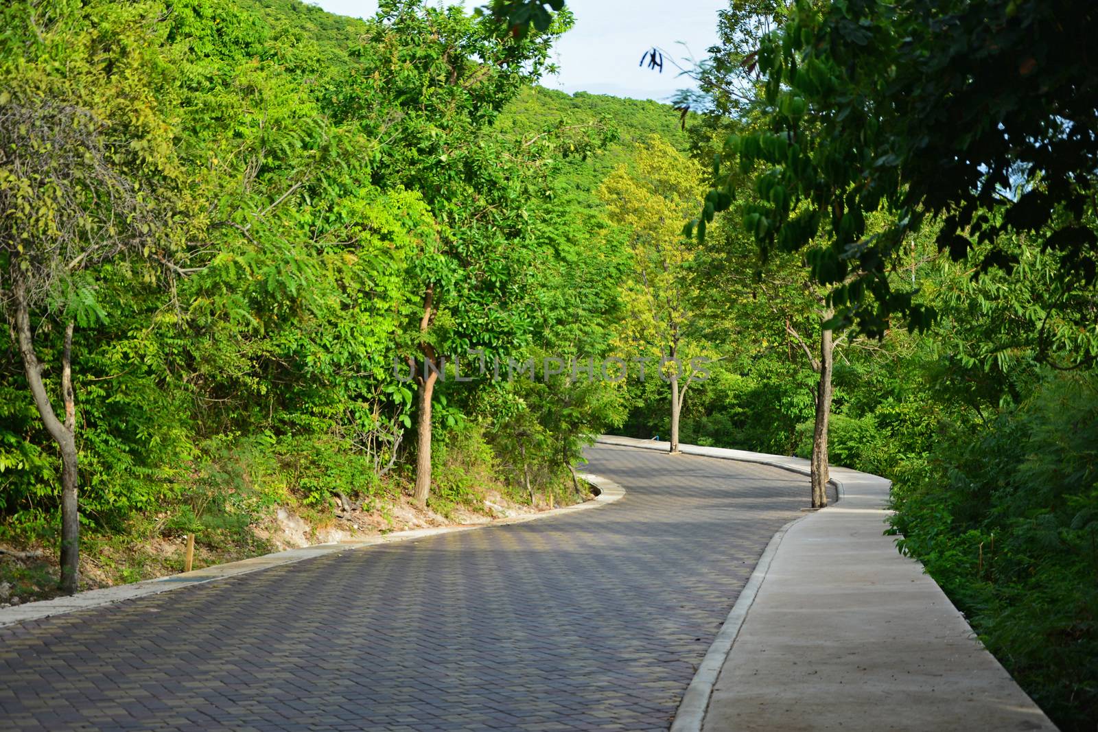 Road on Larn island in Pattaya city of Thailand